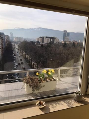 Cosy In The Very Heart Of * Sofia