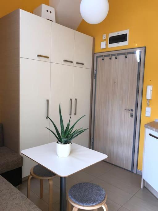 Appartement Cosy In The Very Heart Of *