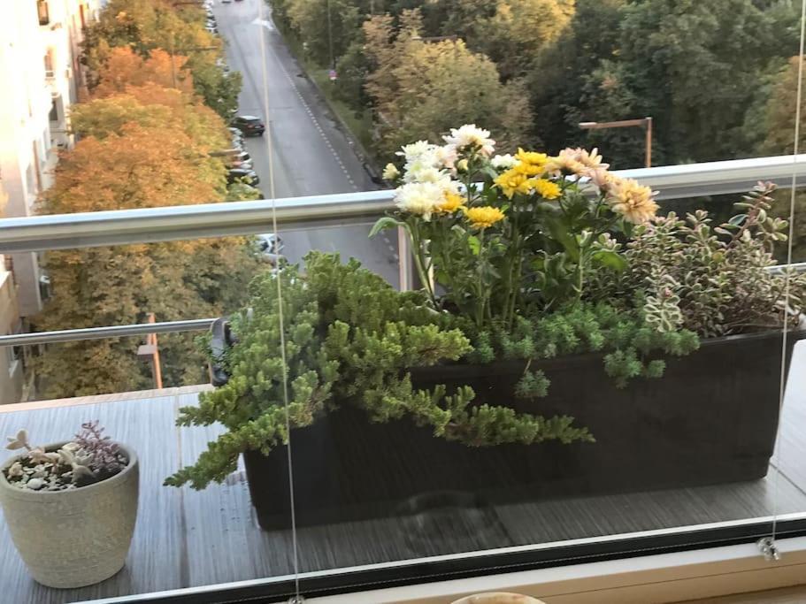 Appartement Cosy In The Very Heart Of